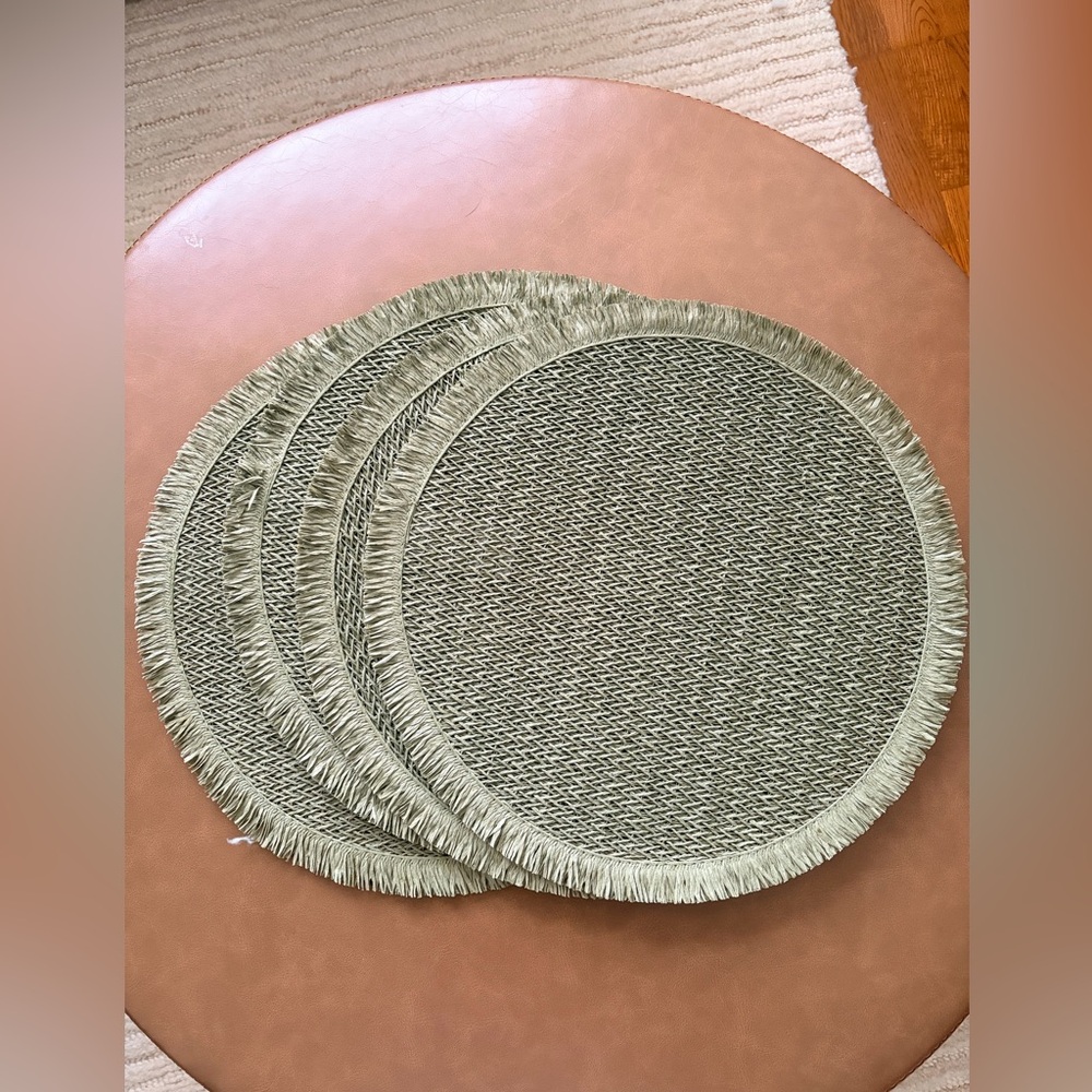 West Elm Green Paper Placemats - Set of 4